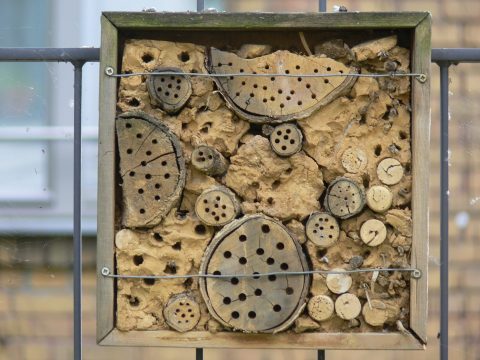 Installation im Garten des STZ